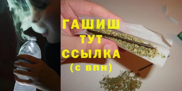 гидра Кинешма