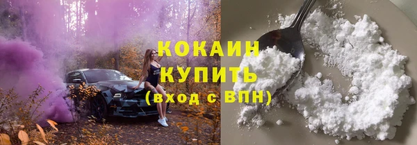 ECSTASY Аша